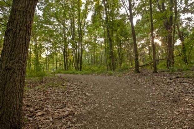 Claire Gempp Davidson Memorial Wildlife Area
